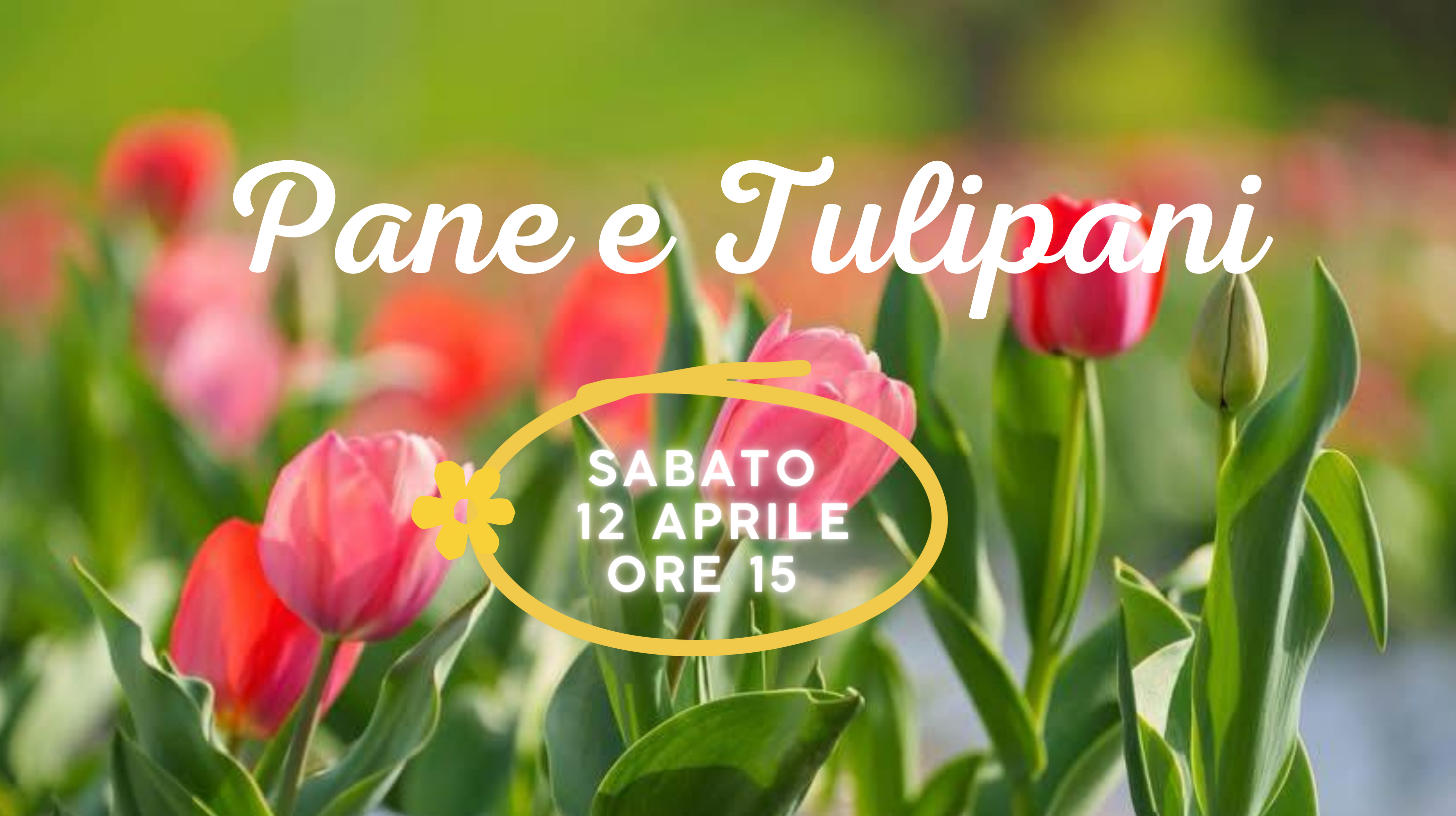 pane e tulipani